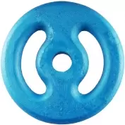 Anilha Ferro 10KG (Unidade)